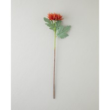 Daisy Tek Dal Yapay Çiçek 60 cm Kırmızı