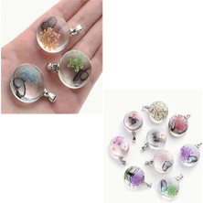 ( 6 x Adet ) 1 Set Yuvarlak Şeffaf Cam Kurutulmuş Çiçeklik Bileklik&küpe&kolye