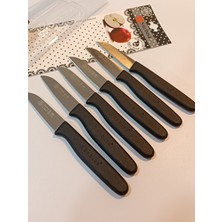 Sürbısa 61007 Meyve Takımı (6'Li) Meyve Bıçağı