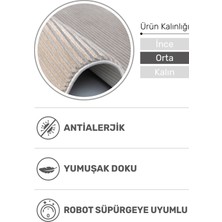 Sedir Bej Halı – 3 ve 4 Metre Enli, Geniş Salonlara Uygun, Tozumaz, Pet Dostu ve Dayanıklı