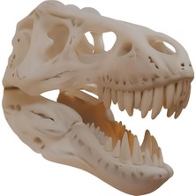 T-Rex Kafası Duvar Dekoru