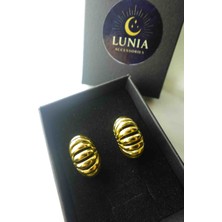 Lunia Çelik Küpe
