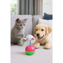 Petvien Kedi Hacıyatmaz Oyuncak Kedi Topu - Hareketli Kedi Oyuncağı, Eğlenceli Kedi Topu
