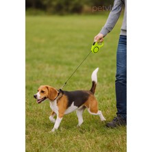 Petvien Otomatik Köpek Tasması – 5 Metre – Geri Çekilebilir Makaralı Gezdirme Tasması – Küçük ve Orta Irk Köpekler Için – Karışık Renklerde