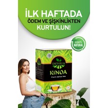 Bahar Detox kinoa Bitki detox Çayı Form Kino’lı Çayı detoks zayıflama bitkisel diyet ürünleri besin destekleyici 1 kutu 30 adet ) odem vesıskınlık