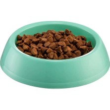 Mikopet Büyük Mama Kabı