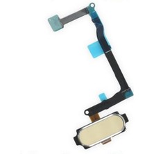 Yedcom SAMSUNG NOTE 5 Uyumlu Parmak İzi Okuyucu Filmi GOLD