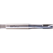 Werka WK275.0371.02545 M2.5x0.45 Hsse Ticn Kaplama Makine Kılavuzu