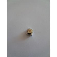 Badelis Çelik Gold Deniz Kabuğu Charm