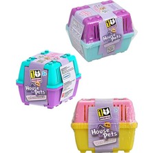 House Pets Evcil Hayvanlar