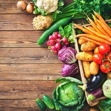 Ata Tohumları  Mor Kohlrabi (Alabaş) Tohumu  (15 Tohum)