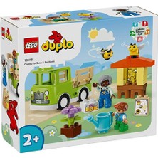 Duplo Kasabası Arıların ve Arı Kovanlarının Bakımı 10419
