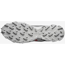Salomon Alphacross 5 Erkek Koşu Ayakkabısı - Gri