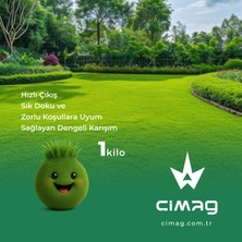 Çim Tohumu 3 Mix Grass Karışımı - 1 kilo