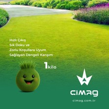 Çim Tohumu 4 Mix Grass Karışımı - 1kilo