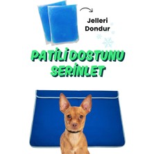 Havhav Serinletici Köpek Minderi 60×40 CM Mavi - 2 Jel Dahil Su Geçirmez ve Katlanabilir Kumaş