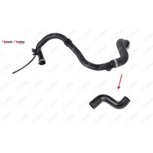 Nifea Turbo Hortumu (Plastik Boru Hariç)  Clıo Iıı  1.5 Dcı