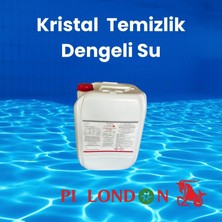 Pi London Yosun Önleyici Sıvı Kimyasal 20 Litre Havuz Yosun Temizleyici Bahçe Su Sistemleri Için Alg Önleyici