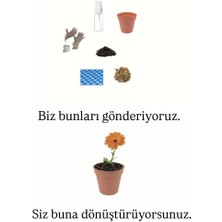 Ekilmeye Hazır Yaşam Seti