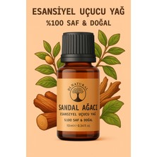 Doğal Sandal Ağacı Esansiyel Yağ