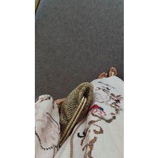 Kadın Krem Goblen Nakış Baskılı Balonkol Elbise