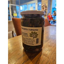 Semizotu Turşusu