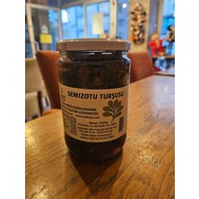 Semizotu Turşusu