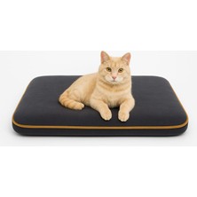 4 Mevsim Termojel'li (60X40CM) Kedi/ Köpek Matı, Sıcak Veya Soğuk Kullanılabilen Minder Yatak