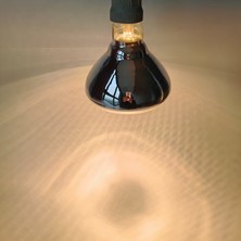 Tnyvet Şeffaf Renk / Infrared Civciv, Buzağı , Kuzu Isıtıcı Lamba - Ampul 250 Watt