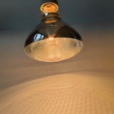 Tnyvet Şeffaf Renk / Infrared Civciv, Buzağı , Kuzu Isıtıcı Lamba - Ampul 250 Watt