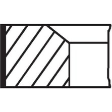 Mahle-Knecht-Behr 02201N2 Motor Segmanı Clıo Symbol Kangoo Megane Iı 1.5dcı K9K 76.00MM 050