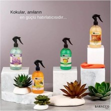 Mangolu Oda Spreyi 500 ml – Baracco Tropik Meyve Esanslı Ortam Kokusu