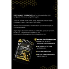 Proftein  Whey Concentrate Protein 450 gr 15 Servis Muz Aromalı