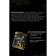 Proftein Whey Complex Protein 500G 15 Servis Muz Aromalı