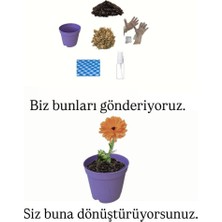 Ekilmeye Hazır Yaşam Seti