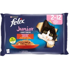 Felix Pouch Yavru Kedi 4X85G