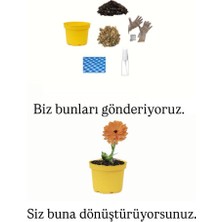 Ekilmeye Hazır Yaşam Setleri