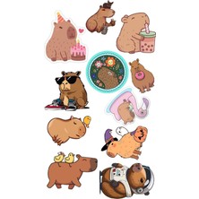 Capybara Sticker Telefon Laptop Notebook Tablet Defter Matara Stiker Etiket ST1783