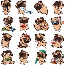 Pug Sticker Telefon Laptop Notebook Tablet Defter Matara Stiker Etiket ST961