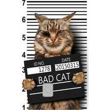 Kart Kaplama Sticker Banka Kredi Kartı Kaplama Stickeri KK847