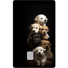 Kart Kaplama Sticker Banka Kredi Kartı Kaplama Stickeri KK234