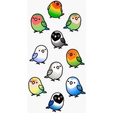 Kuş Sticker Telefon Laptop Notebook Tablet Defter Matara Stiker Etiket ST672