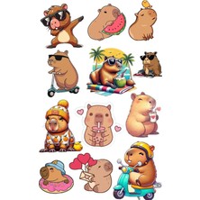 Capybara Sticker Capibara Etiket Kapibara Sticker Capibara Sticker ST1643