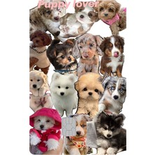 Kart Kaplama Sticker Banka Kredi Kartı Kaplama Stickeri KK1199