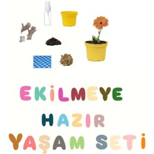 Ekilmeye Hazır Yaşam Seti