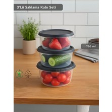 Renkli 3'lü Saklama Kabı, Bpa Free, Derin Dondurucu Uyumlu, 700 ml