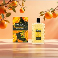 200 ml Mandarin Aromalı Kolonya – Canlandırıcı, Hafif Tatlı ve Kalıcı
