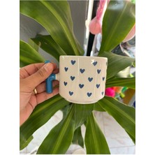 Kalpli T Kulp Kupa Bardak Nescafe Fincanı 1 Adet Mavi