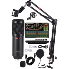 BM800 Live Platinium Set Efektli Ses Kartı Mikrofon Stand Kayıt Canlı Yayın Seti (Pc ve Telefon)