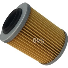 Yag Fıltresı Atv Cf 450-550-625-800